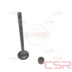 Moto Express SUPAP EMME NMAX A KÜÇÜK