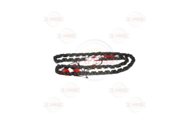 Bajaj Pulsar Ns 150 Eksantrik Zinciri 102L A