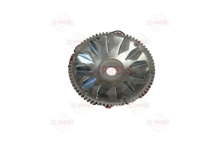 Tvs Wego Ön Varyatör Fanı