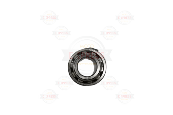 Rks 150 Titanickrank Bilye Rulman Nj205-E