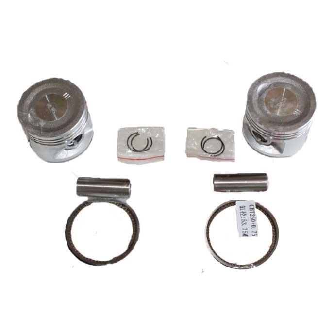 Regal Raptor DD 250 Ramzey QM 250 Piston Segman Kit 15 Perno 53.75mm