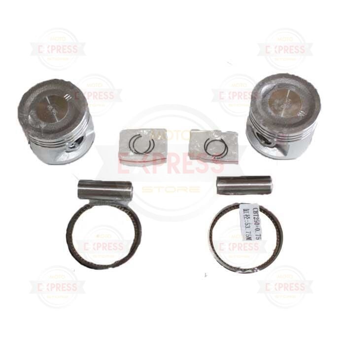 Regal Raptor Dd 250 Ramzey Qm 250 Piston Segman Kit 15 Perno 53.75Mm