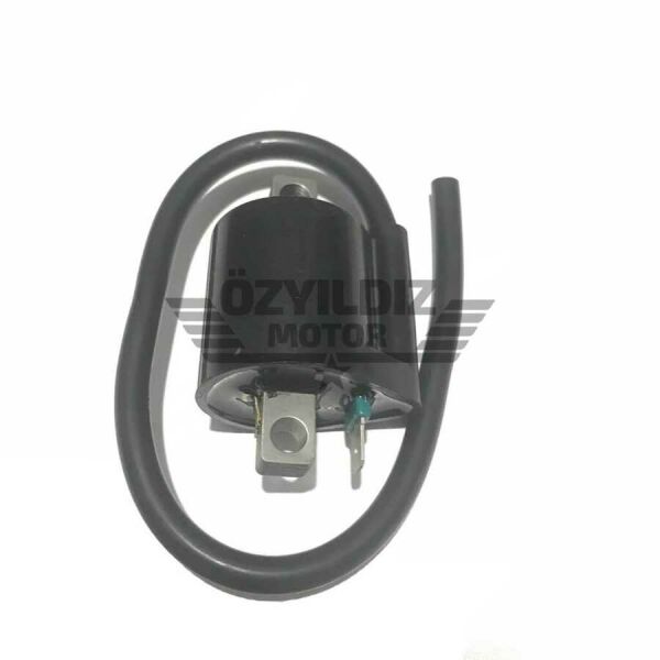 Moto Express BOBİN BWS100