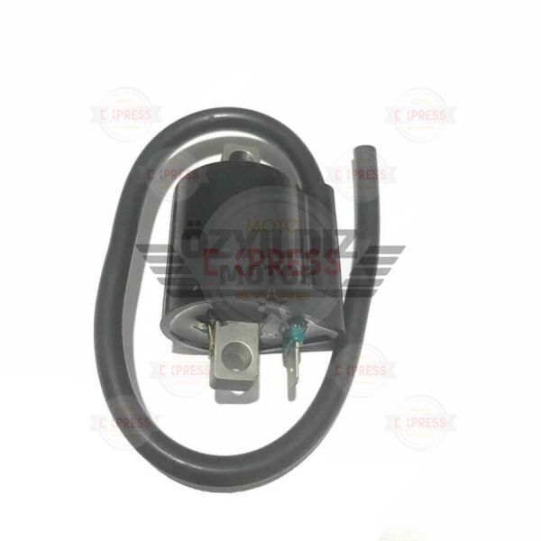 Moto Express BOBİN BWS100