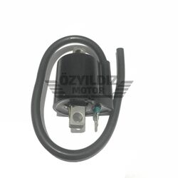 Moto Express BOBİN BWS100