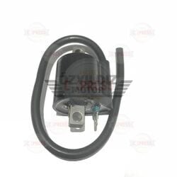 Moto Express BOBİN BWS100