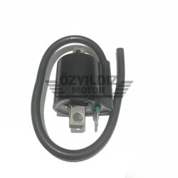 Moto Express BOBİN BWS100